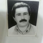 Ali Saei - @alisaei97 - Instagram