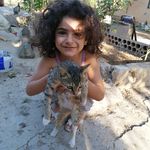 ali salameh - @salameh680 - Instagram
