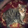أبفغدن - @alisealslml - TikTok