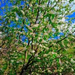 Ali - @ali_serati_ - Instagram