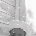 Ali Shama - Facebook