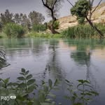 Ali Shamas - @alishamas3427 - Instagram
