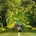 Ali Shareif - @ali.shareif.5 - Instagram