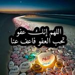 ali sharhan - @sharhan586 - Instagram