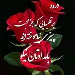 ابادانی - @alish.arhan - Instagram
