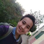 Ali Shawki - @shawki664 - Instagram