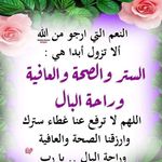 Ali Shawki - @shawki_a - Instagram