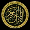 Ali Shawqi - @ali.shawqi6 - TikTok