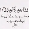 ... - @ali_shazad1 - TikTok