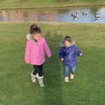 Ali Shebani - @shebani667 - Instagram