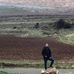 Ali Shebli - Facebook