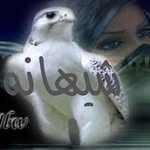 Sheehanh Ali - @alisheehanh - Instagram