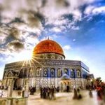 ali shehadeh - @shehadeh3254 - Instagram