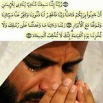 Ali Shehadeh - @ali.shehadeh.393 - Instagram
