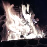 ali shehadeh - @shehadeh350 - Instagram