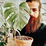 Ali Sheibani - @ali_sheibaani - Instagram