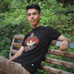 ali_sheikhan - @ali_sh13822 - Instagram