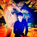 ali_sheikhan - @ali_sheikhan13831 - Instagram