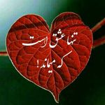 Ali sheikhan - @alisheikhan9867 - Instagram