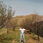 ali sheikhani - @sheikhani.ali - Instagram