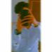 Ali Sher - Facebook