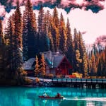 Ali sherkat - @ali_1345_sh - Instagram