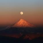 Ali sherkat - @shazdeh.sharghy - Instagram