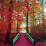 Ali sherkat - @sherkat447 - Instagram