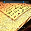 Alisher Kattaev - @alisherkattaev - TikTok