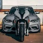 Ali Shettima - @_ali_shettima - Instagram