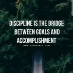 Shettima Ali Shettima - @shettima__ali - Instagram