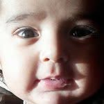 Ali Ahmad Shigri - @aliahmedshigri - Instagram
