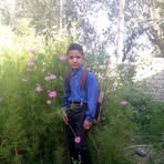 Zamin Ali Shigri - Facebook