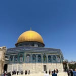 Ali Shilleh - @alishilleh86 - Instagram