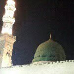 Ali Shirdel - @ali.shirdel - Instagram