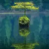 ali_jahanshiri - @ali_jahanshiri - TikTok