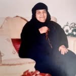 Ali Shiri - @shahin.shiri41 - Instagram
