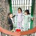 Ali Shiri - Facebook