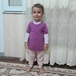 ali shiri - @alishiri7111 - Instagram