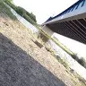 Ali Shiri - @alishiri6 - TikTok