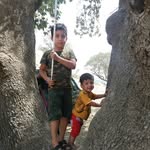 ali@shiva - @alishiva6277 - Instagram