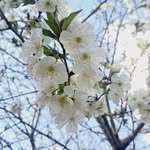 Ali,SHiva - @alishiva.9398 - Instagram