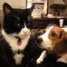 Allison Shockley - Facebook