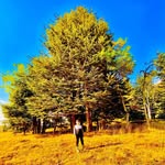 Ali Nidal Chouman - @ali_shouman6 - Instagram