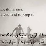 Ali---------Shwan - @ali__________shwan - Instagram