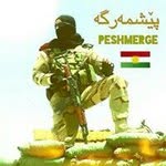 Ali.shwane1 - @ali.shwani - Instagram