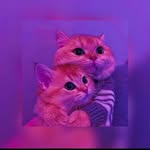queen - @alisiham1042022 - Instagram