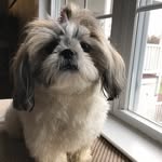 Ali Simmons - @the.bowling.ali - Instagram