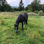 Ali Simmons - @ali.simmons.90 - Instagram