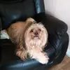 Ali Simpson - @ali.simpson - TikTok